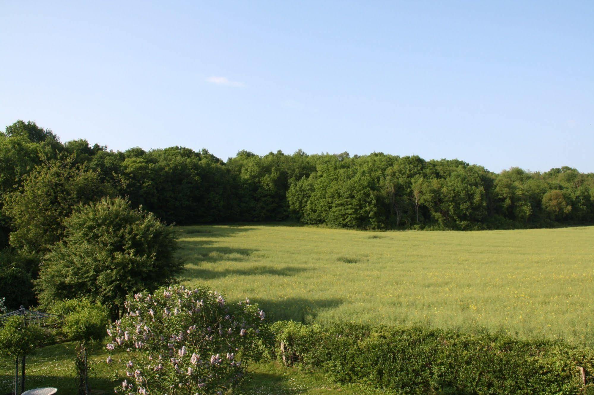 La Raimbaudiere Bed & Breakfast Guigneville-sur-Essonne Dış mekan fotoğraf